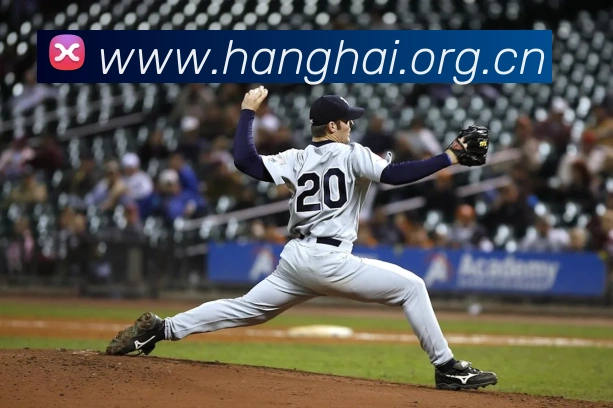 国际米兰官方网站平台生态图